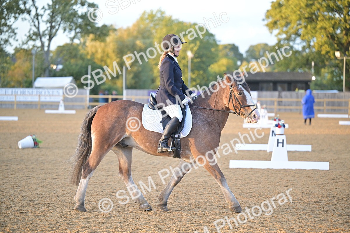 SBM_13529 - D3 - Small Tour Championship Intro 3
