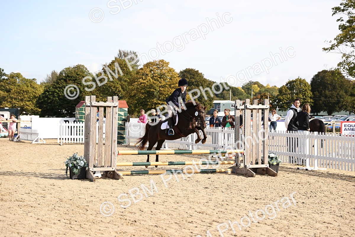 SBM_61979 - J12 - Junior Pony 55cm Championship
