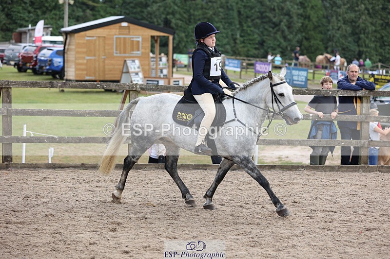 240822X-153049-09767 - 40cm A R1 14.20 to 15.30
