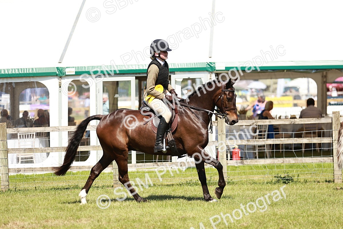 SBM_17686 - Class 112-113 - BSPS LIHS Working Sports Pony