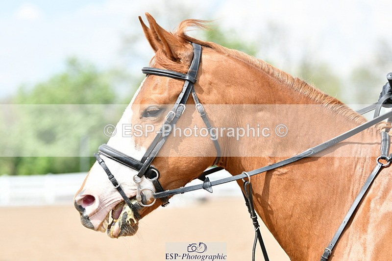 240512A-151529-19290 - Cls 43 95cm National Am Quali