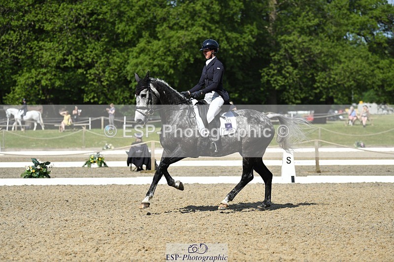 230525-102101-01688 - 311-BALLYCOSKERRY_REGAL_DIAMOND-Hollie_Swain-WEDTrotUp+DR