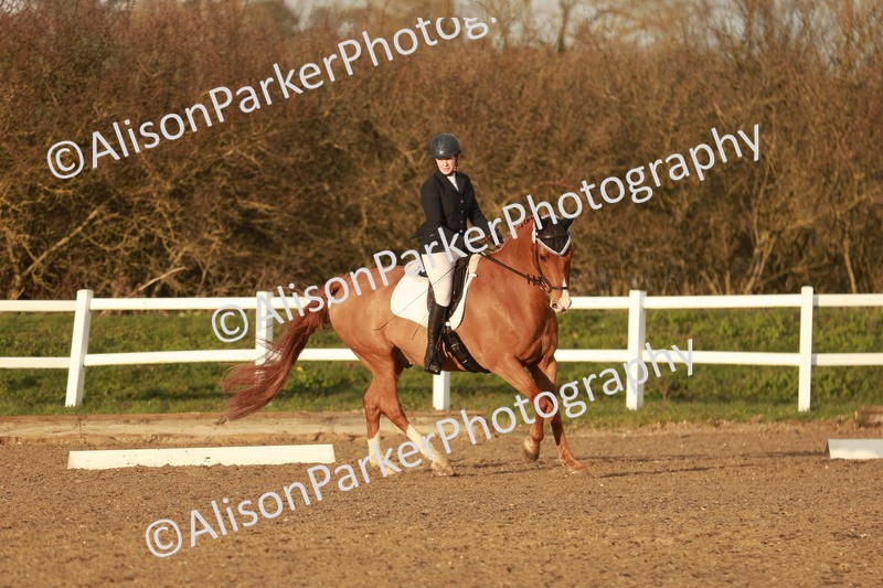 20260314-6481 - CT7 - Elementary 2