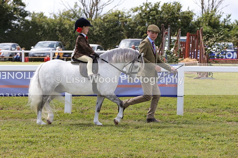 1X9A5097 - Class 36: NPS M&M Lead Rein