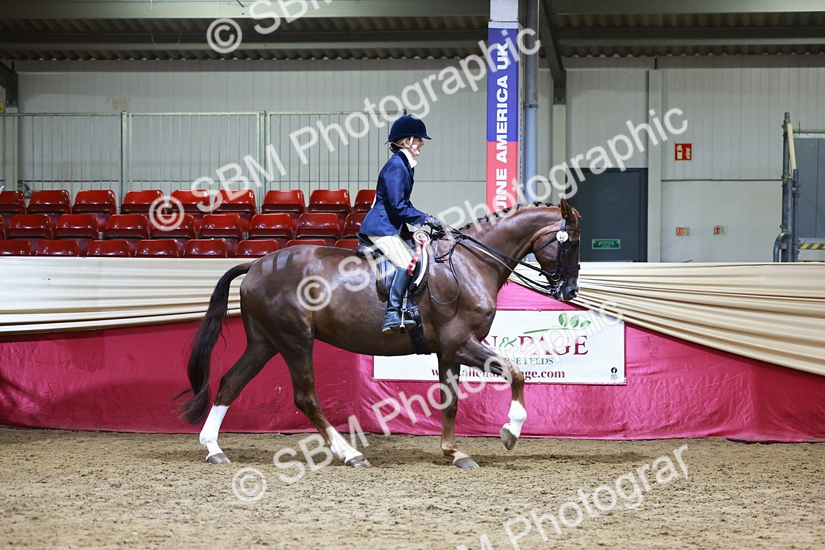 SBM_23599 - class 906 - Supreme Final - Ridden Pre Vet