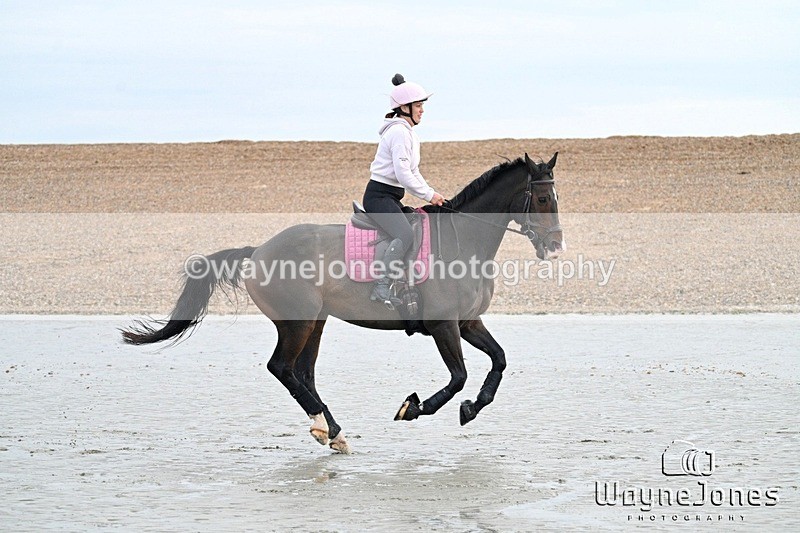 WJ7_9328 - Hayling Island Beach Shoot 22-09-24