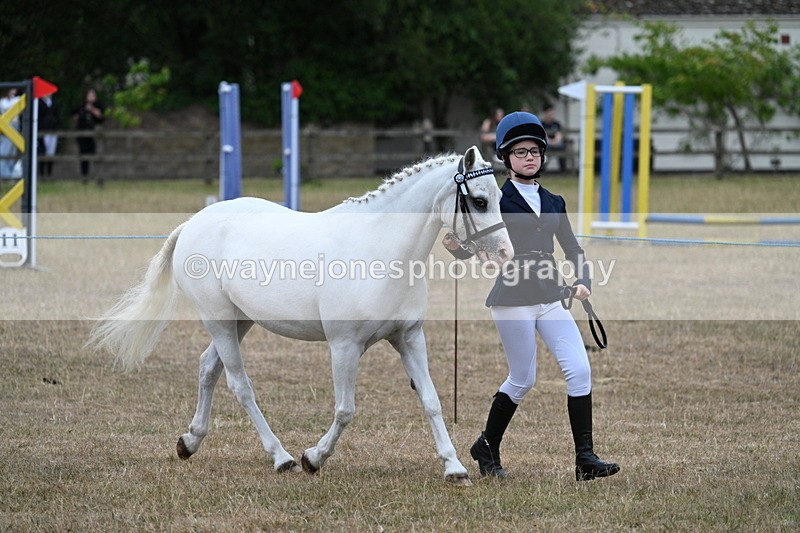 WJ7_8342 - Class 4 Prettiest Mare up to 14.2hh