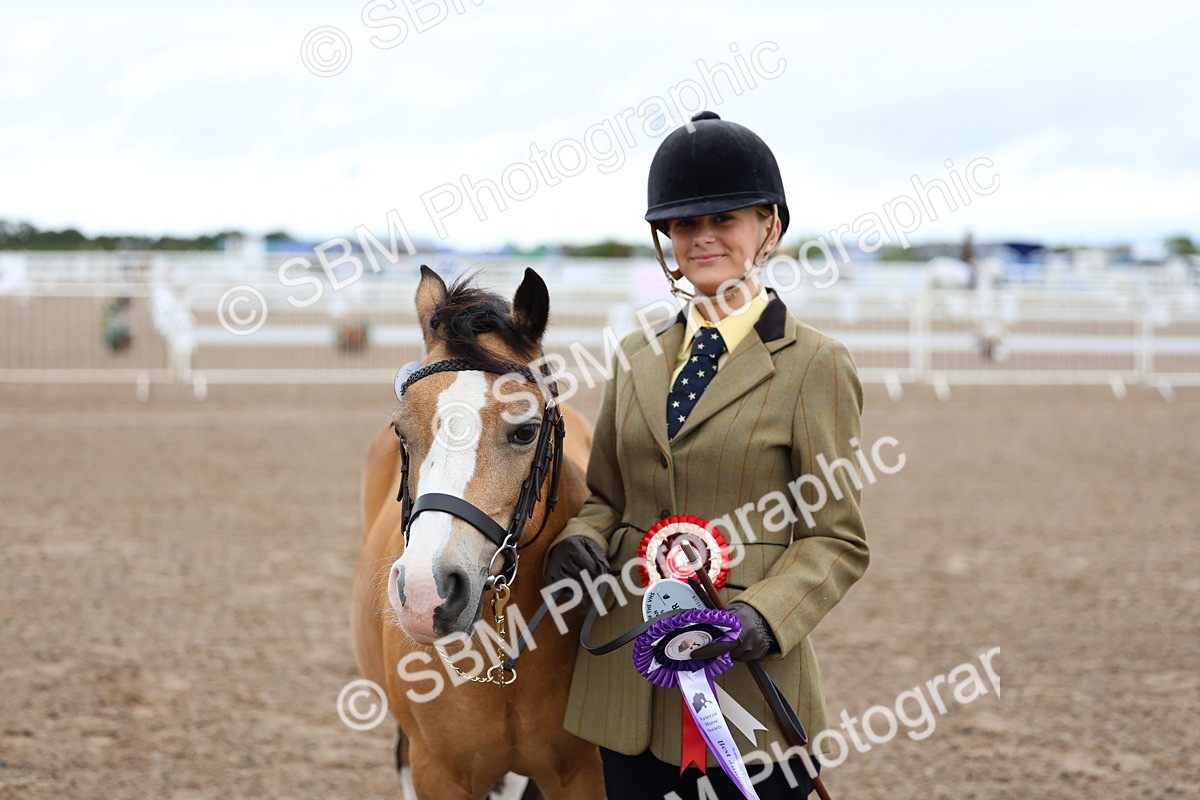 SBM_00264 - Class 13 - Young Handler