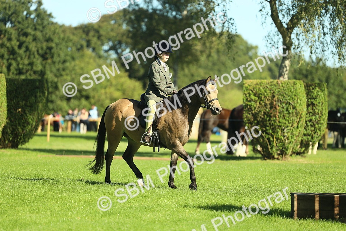 SBM_36491 - S29 - Novice & Newcomers Working Hunter Pony