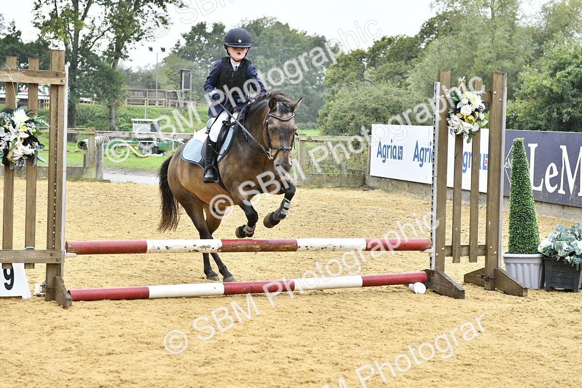 SBM_70880 - J3 - Mini Tour Junior Pony 40cm championship
