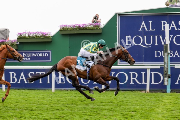 180523-Race 7-Chesspiece-7485 - Race 7 5.20pm Collective Green Energy Handicap