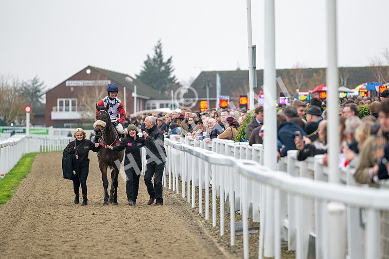 151125-Race 2-Hung Jury-0763 - Race 2