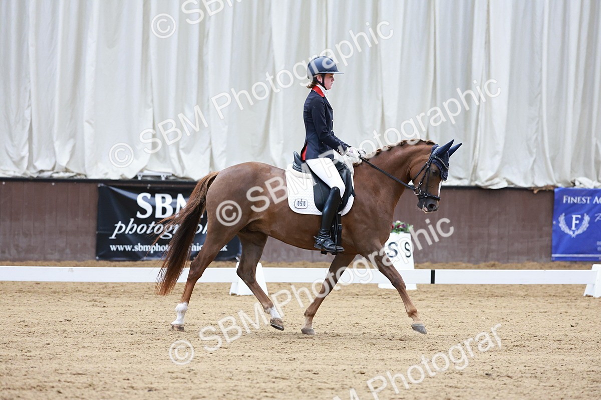 SBM_017180 - Class15 - FEI Pony