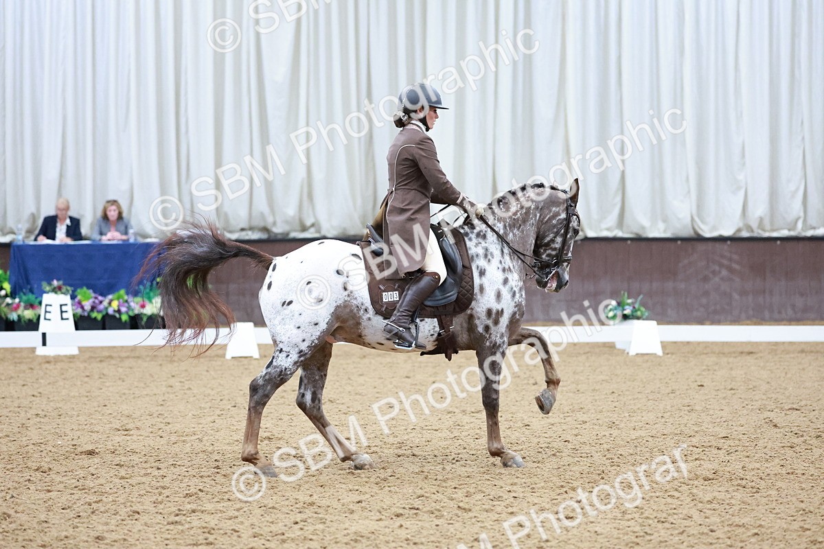 SBM_021382 - Class 14 - FEI Grand Prix - 17.40-18.34