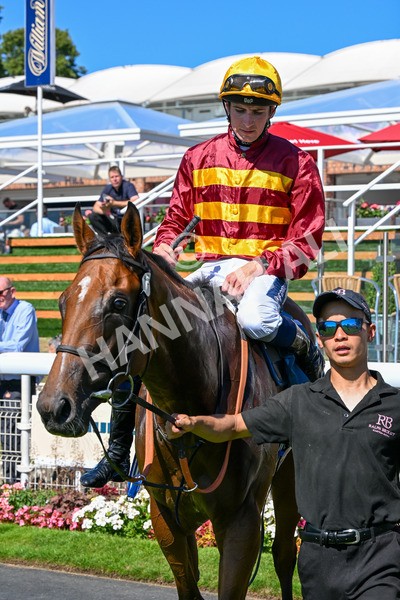 110725-Race 3-Bosa Nova-0281 - Race 3 3.20pm Ire-Incentive, It Pays To Buy Irish EBF Fillies' Novice Stakes