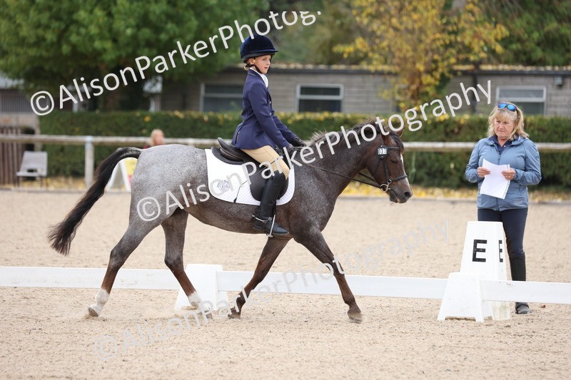 20250819-0883 - Class 2 - Prelim 1