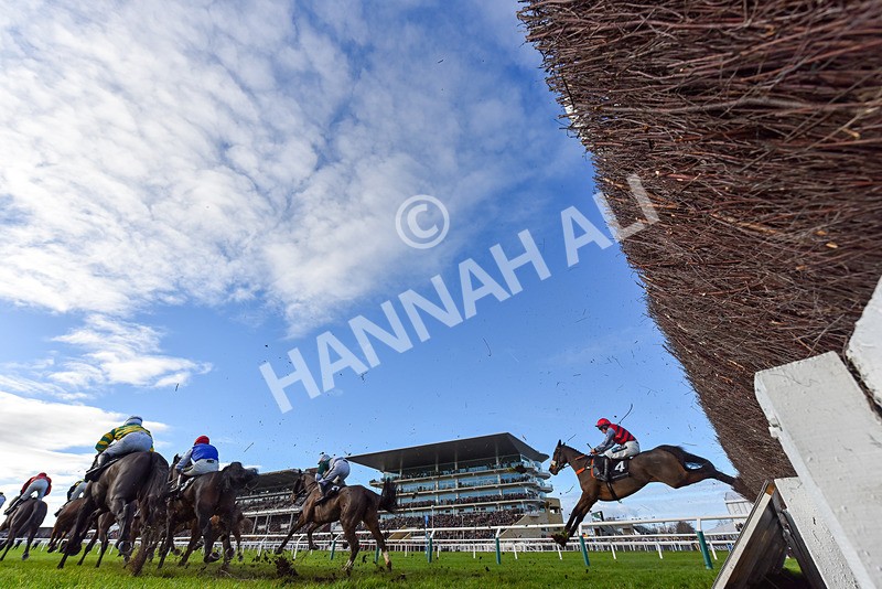 141224-Race 3-Autumn Return-9347 - Race 3