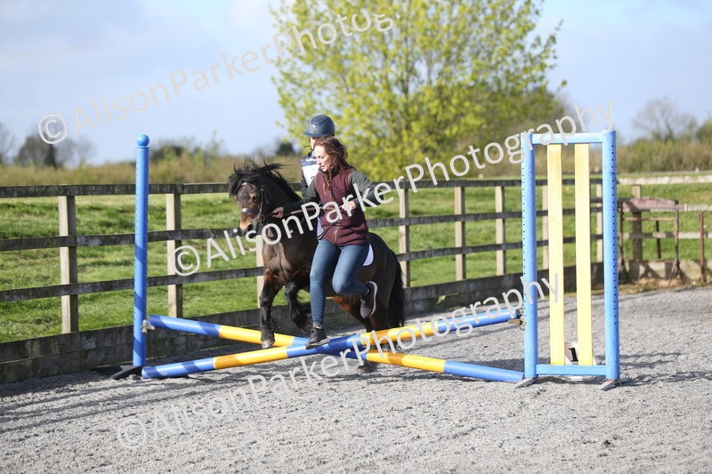20260412-0044 - Show Jumping