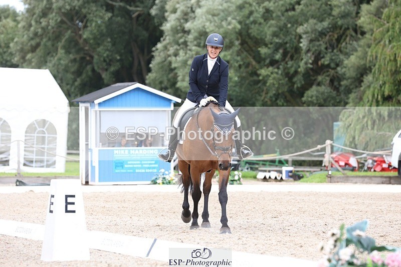 230812-150617-05053 - Cls 5 Novice Bronze 15.00 to End