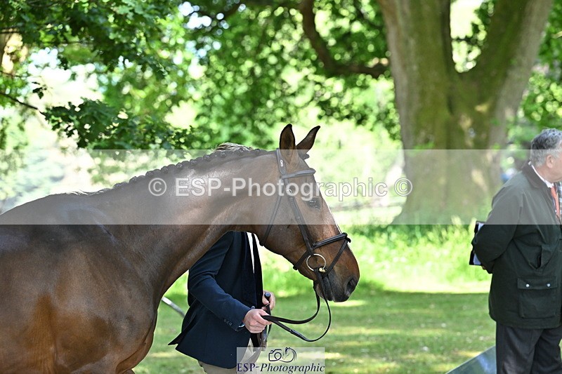 250521A-154909-00782 - B-371-Ben.Perry-FA.KARLA