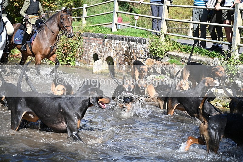 WJ7_5990 - Hounds Water Crossing