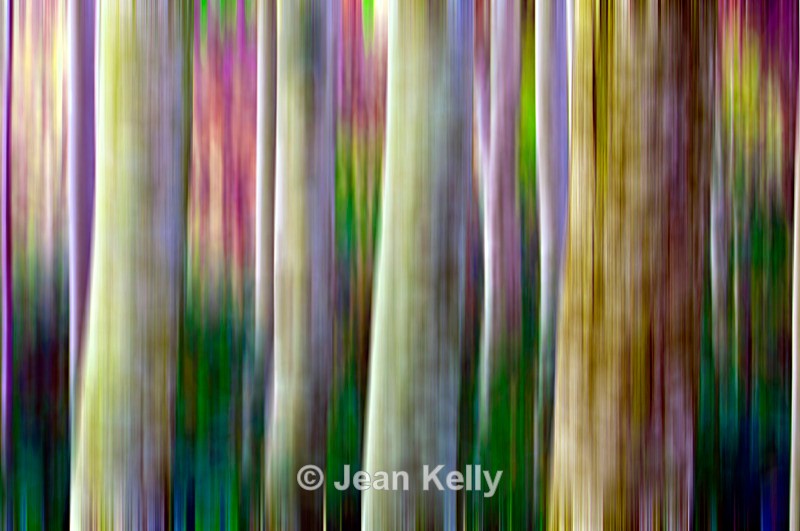 Tree - 4511 motion blur - Motion blur filter effect