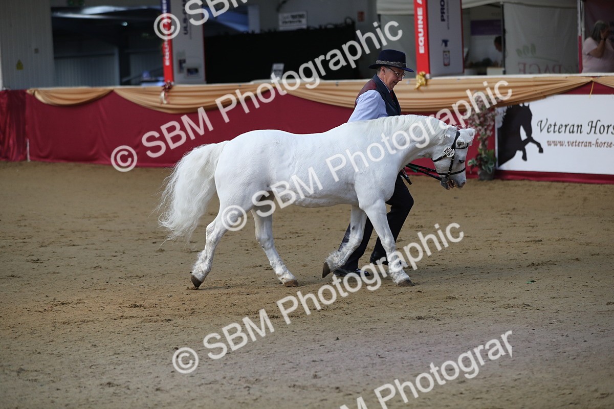 SBM_00597 - class 2a Area IH Veteran