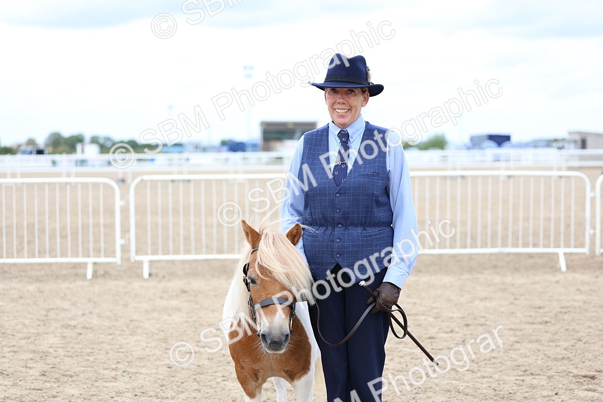 SBM_05925 - Class 29 - IH Veteran Pony