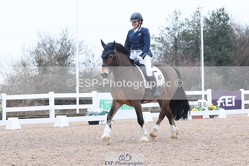 250216-132838-05947 - 253-Alison.Crimp-Crwys.Beau