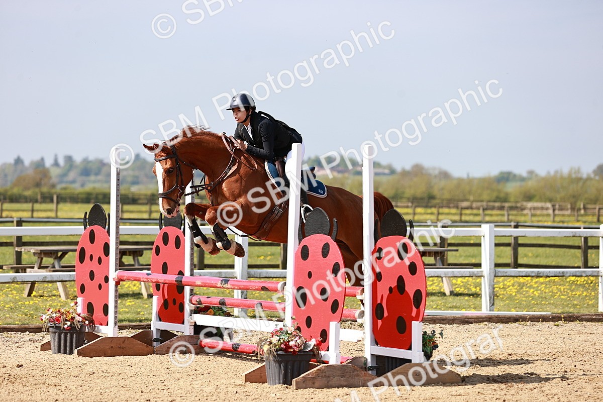  - Class 21 - Senior British Novice - 90cm