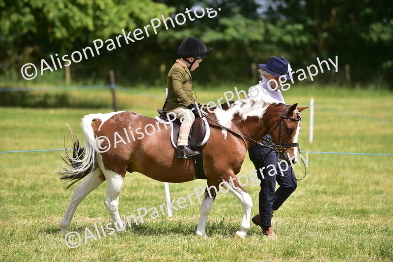 20260614-1350 - Class 11b - Lead Rein Pony (Plaited)