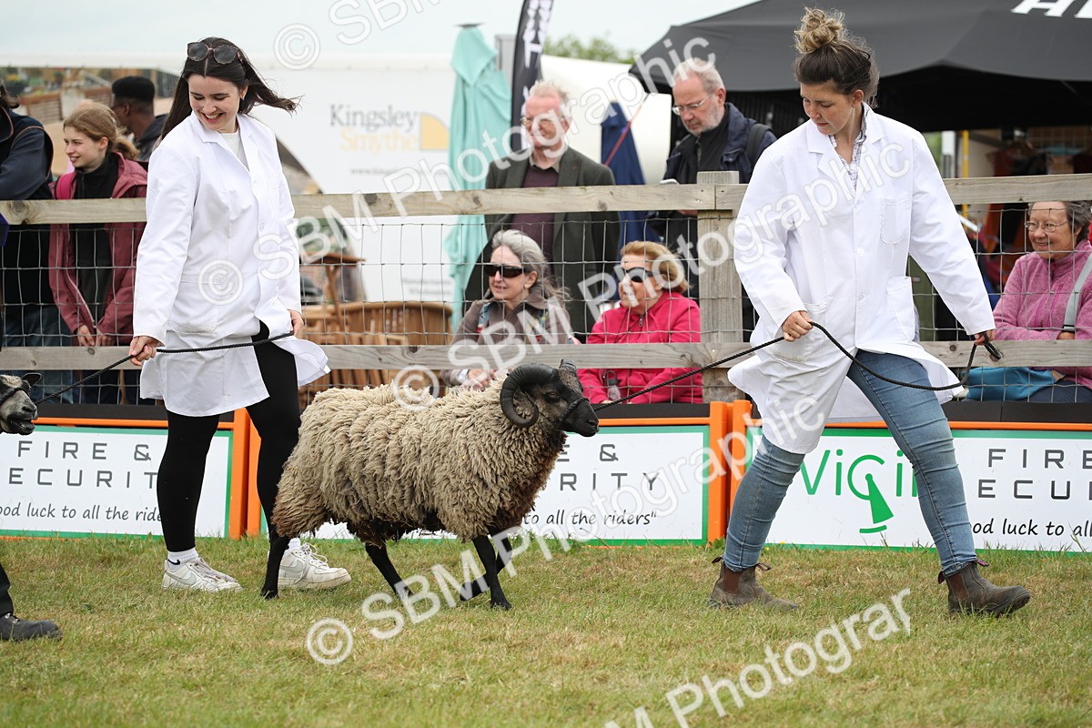 SBM_07812 - Grand Parade