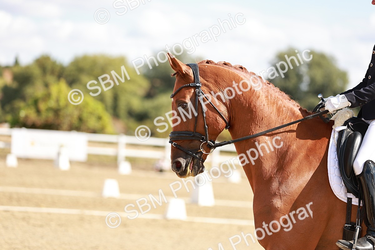 SBM_009340