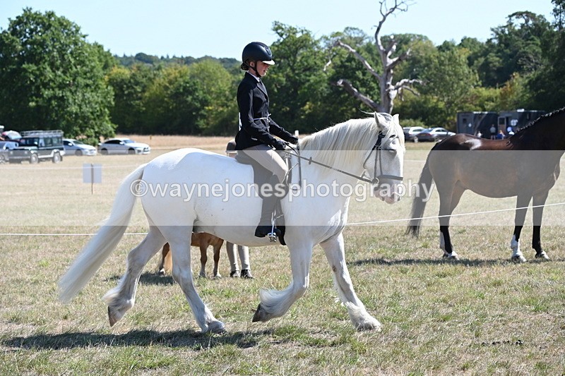 WJ6_8268 - Class 37a Best Loan Pony Ridden