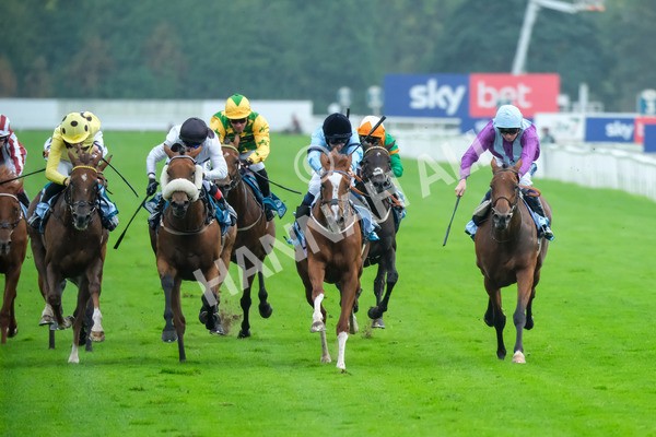 080925-Race 6-Rhapsody-9594 - Race 6 5.00pm Sky Bet Build A Bet Fillies' Handicap