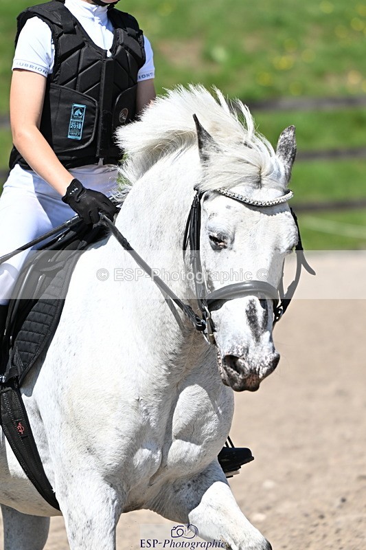 240729B-121805-02631 - Showjumping Competition