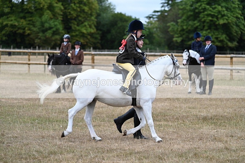 WJ7_6576 - Class 1 Lead Rein Pony