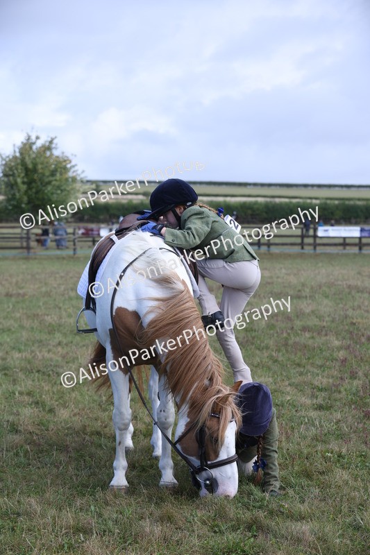 20250831-2457 - Class 16 - Family Pony