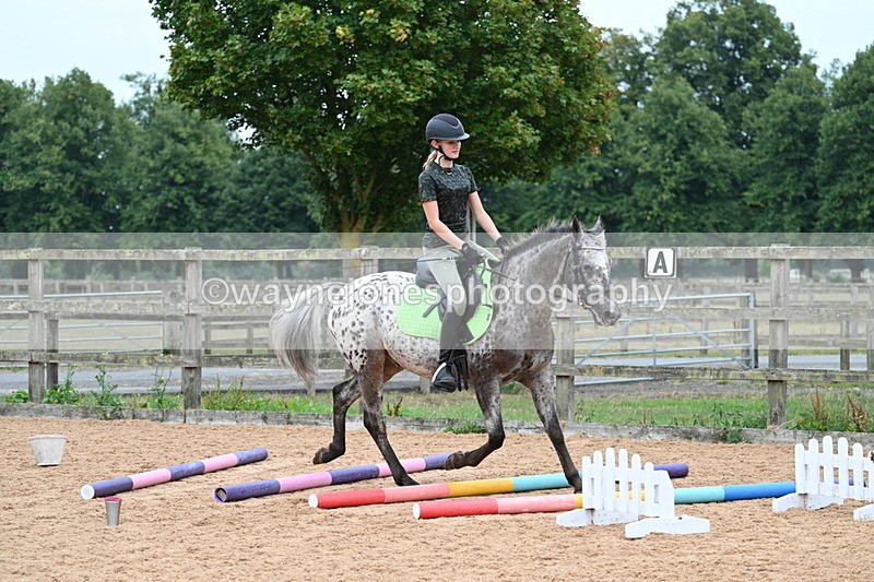 WJ7_9882 - Poles 14:00