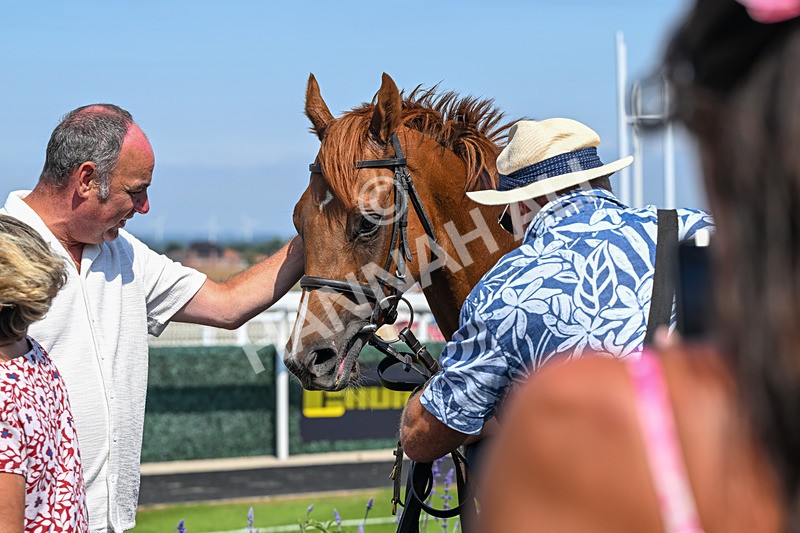 140726-Race 2-What A Tahoo-0032 - Race 2 14.47pm Young Guns Handicap