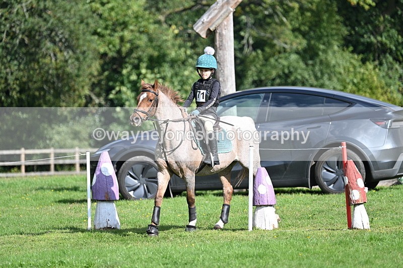 WJ7_4953 - 60cm Time 11:11 to 11:19