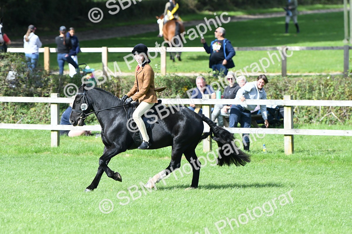 SBM_47048 - S12 - Family Horse & Pony