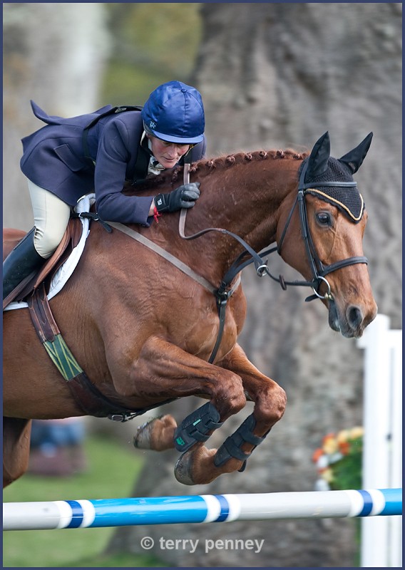 Powderham Castle 2 - Equestrian Sport