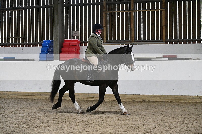 WJ7_3927 - Class 17 Ridden Cob