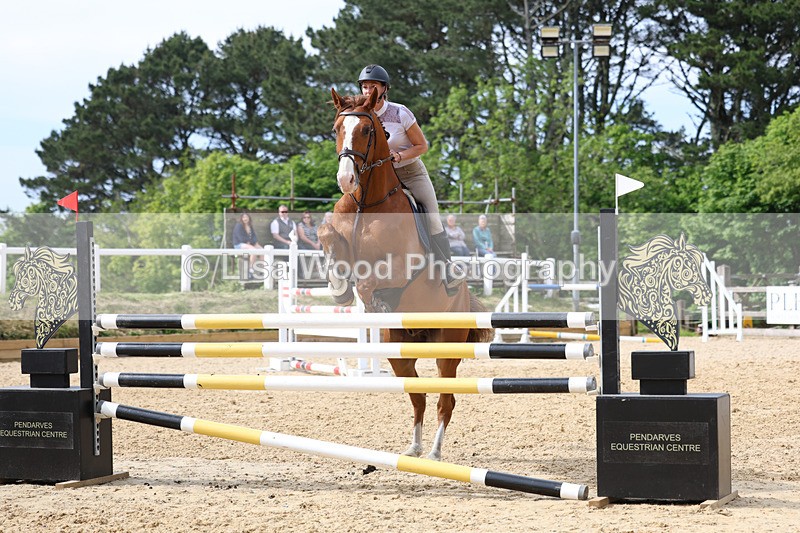 3E7A7752 - Class 8: Senior Foxhunter/1.20 open