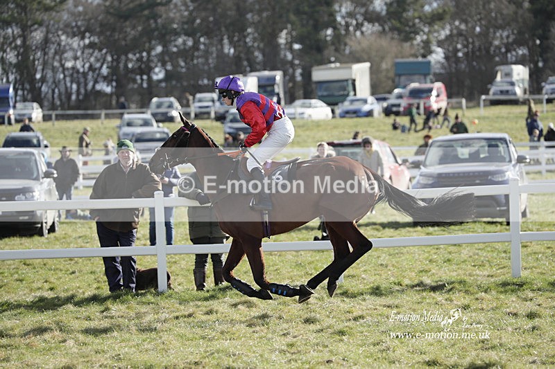 PtP 260223 919 - South & West Wilts Point-to-Point Larkhill 26/02/23