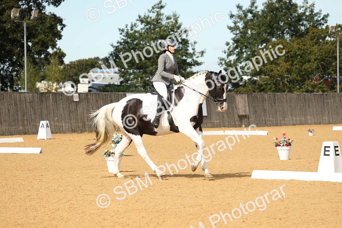 SBM_22238 - D17 - Grand Tour Championship - Novice 27