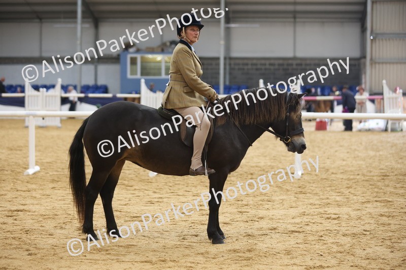 20260913-0699 - Class 127 - Young Ridden 4-6 years