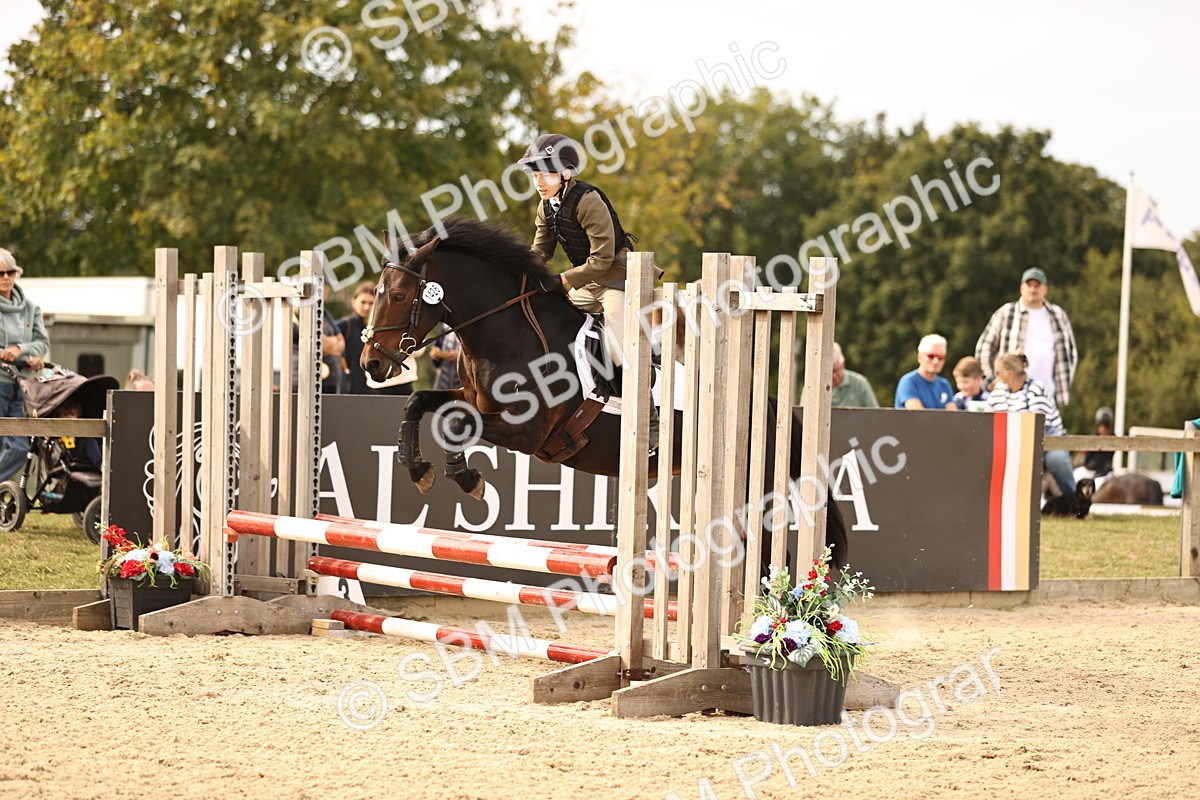 SBM_70780 - J13 - Junior Pony 60cm Championship