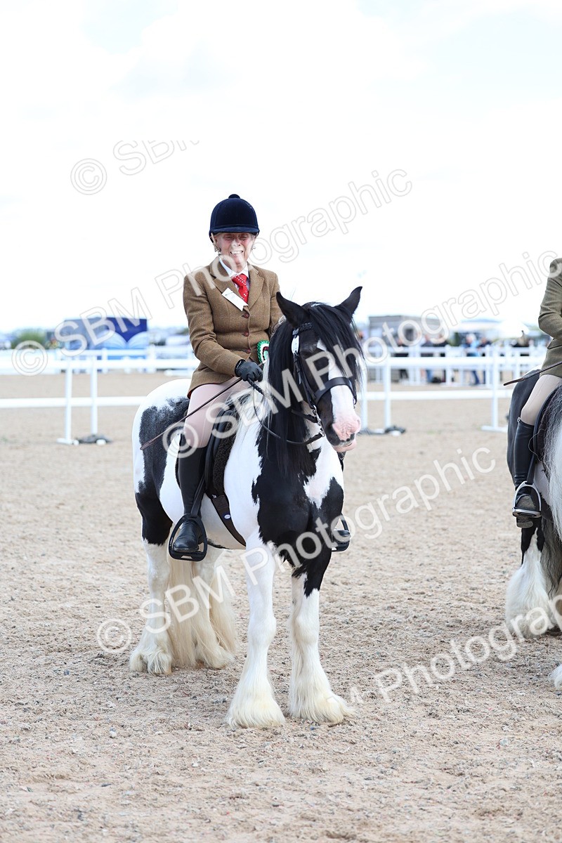SBM_11476 - Class 307 - Ridden Coloured Pony